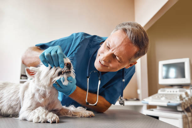 Best After-Hours Dental Care in Donaldsonville, LA